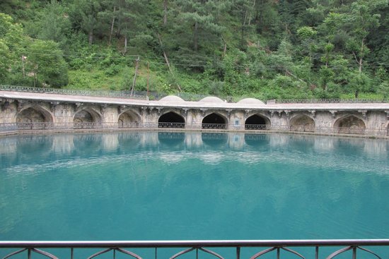 Kokernag Verinag